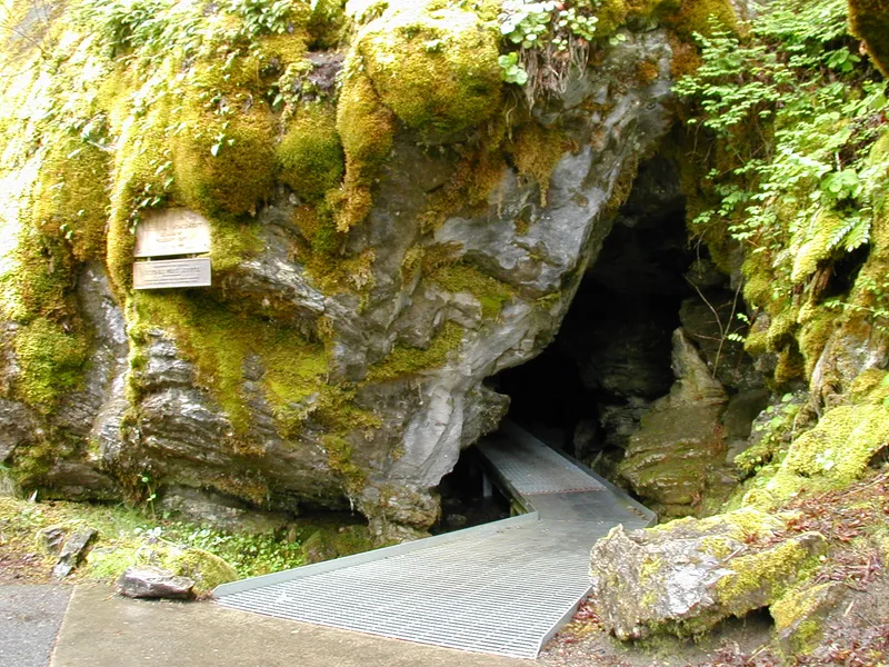 Oregon Caves National Monument & Preserve