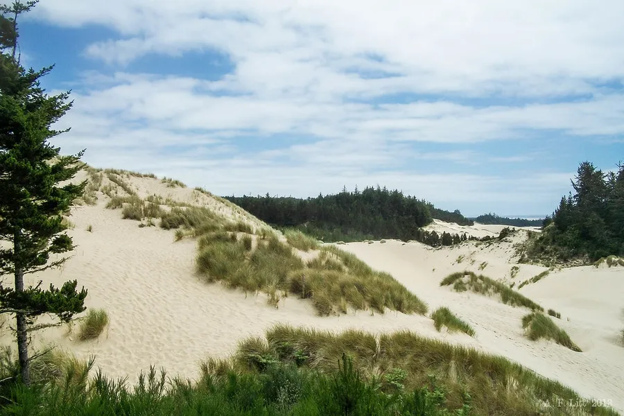 Oregon Dunes National Recreation Area