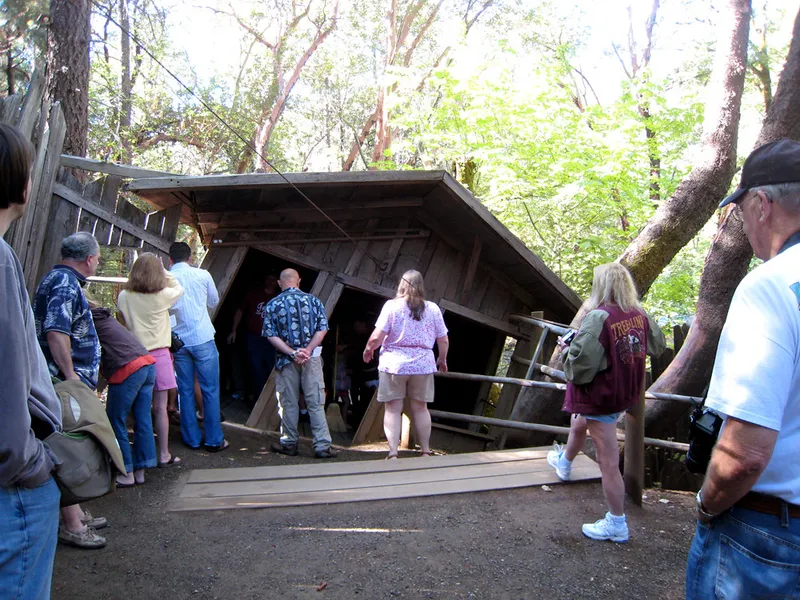 Oregon Vortex