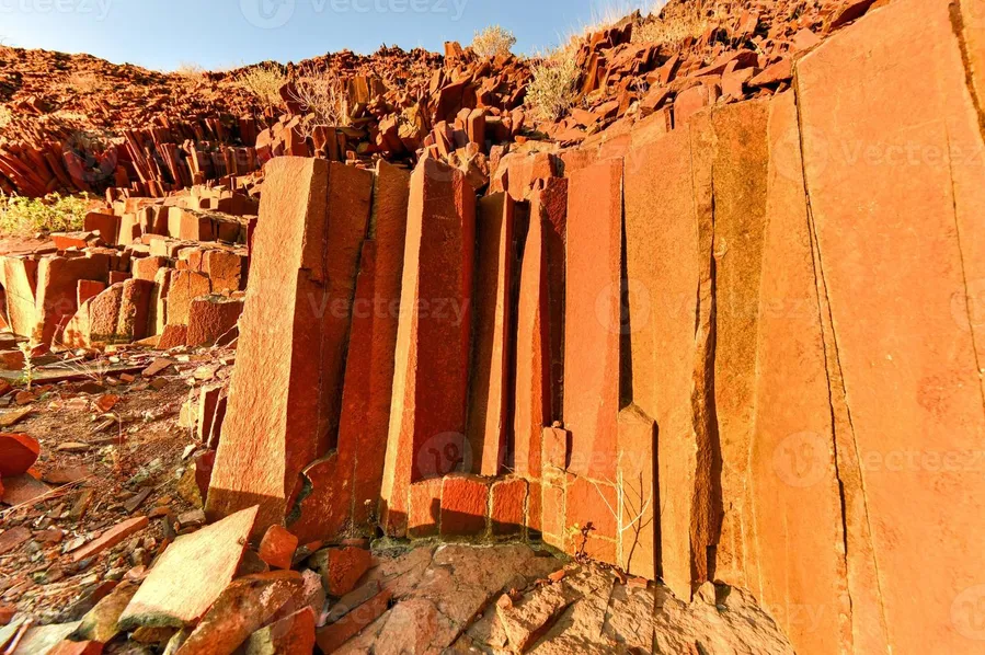 Organ Pipes