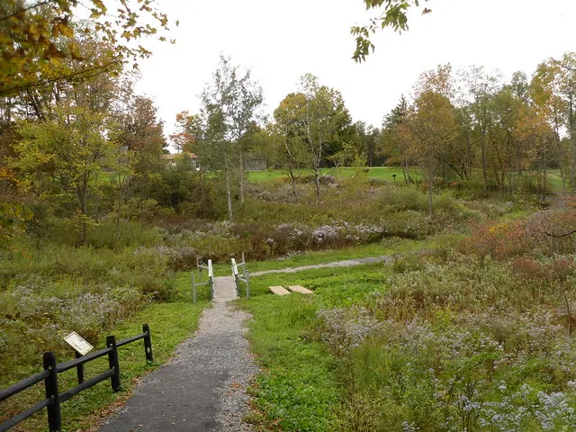 Oriskany Battlefield State Historic Site