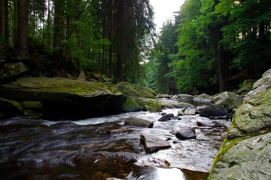 Orlice River