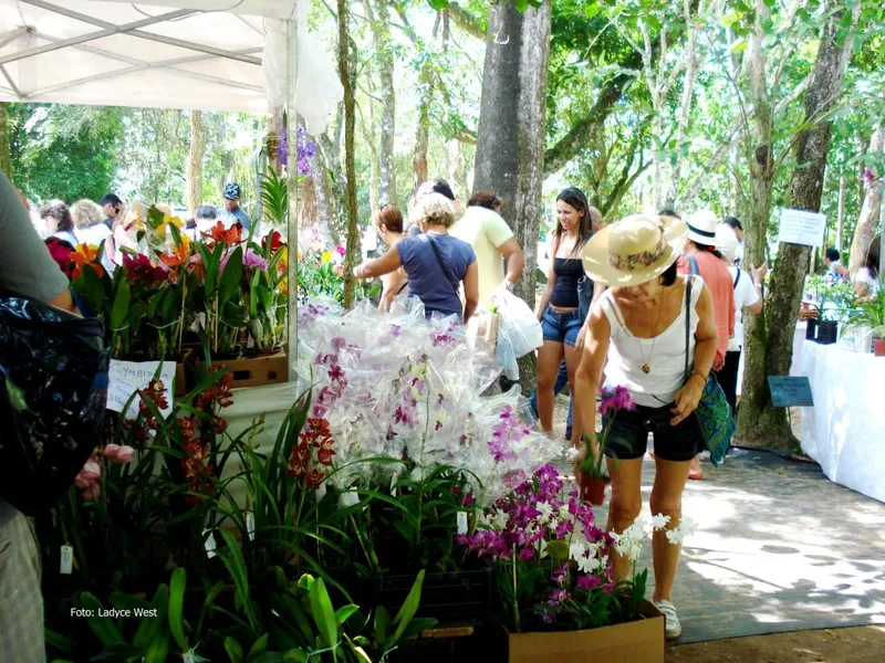 Orquidário Oriental