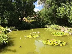 Orto Botanico di Pisa