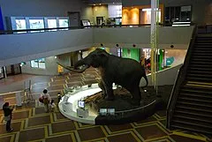 Osaka Museum of Natural History