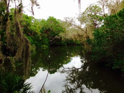 Oscar Scherer State Park