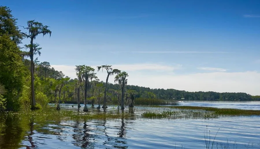 Osceola National Forest