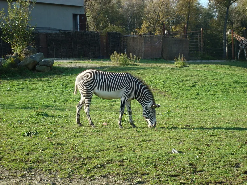 Ostrava Zoo