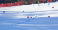 Osttirodler Alpine Coaster