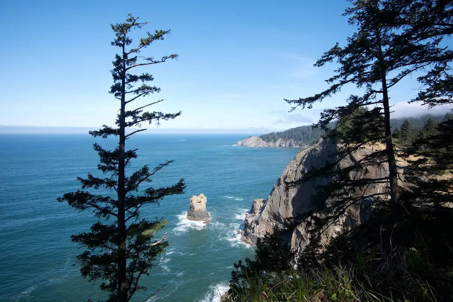 Oswald West State Park