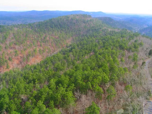 Ouachita National Forest