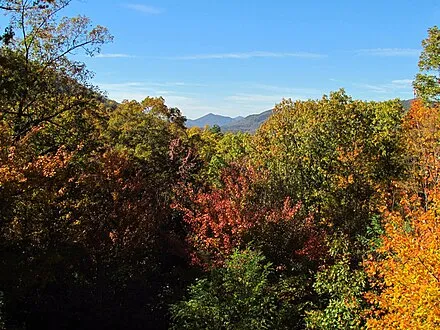 Ouachita National Forest
