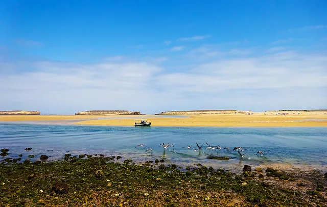 Oualidia Lagoon