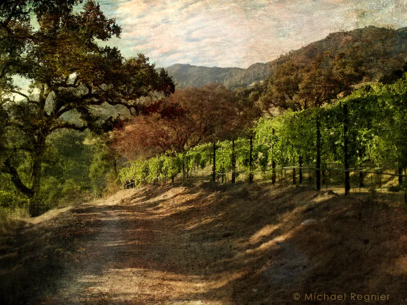 Overmountain Vineyards