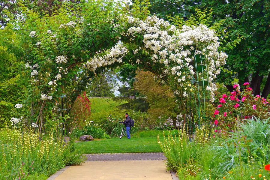 Owen Rose Garden
