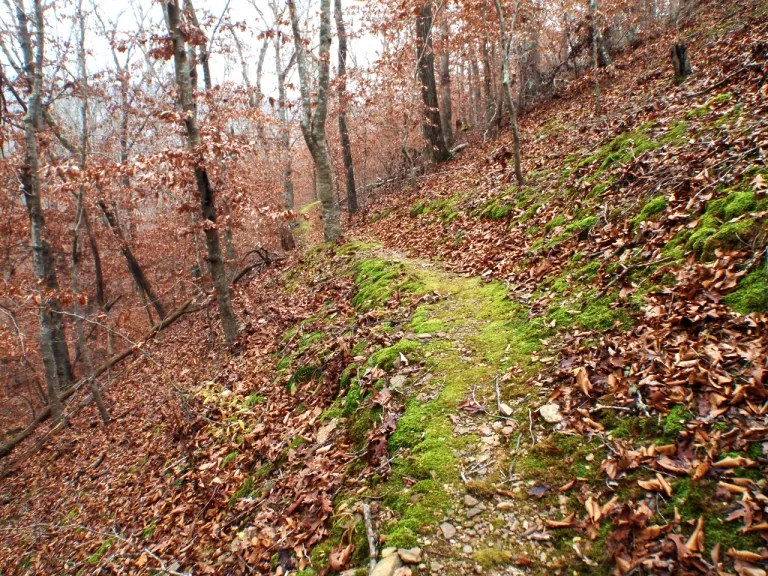 Ozark Highlands Trail