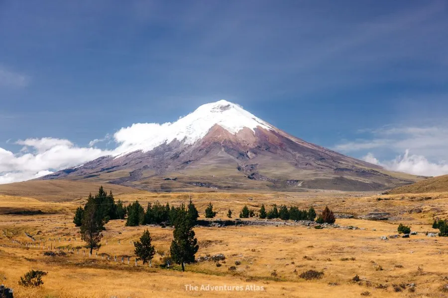 Páramo Ecosystem
