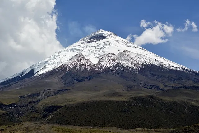 Páramo del Chuquiragua