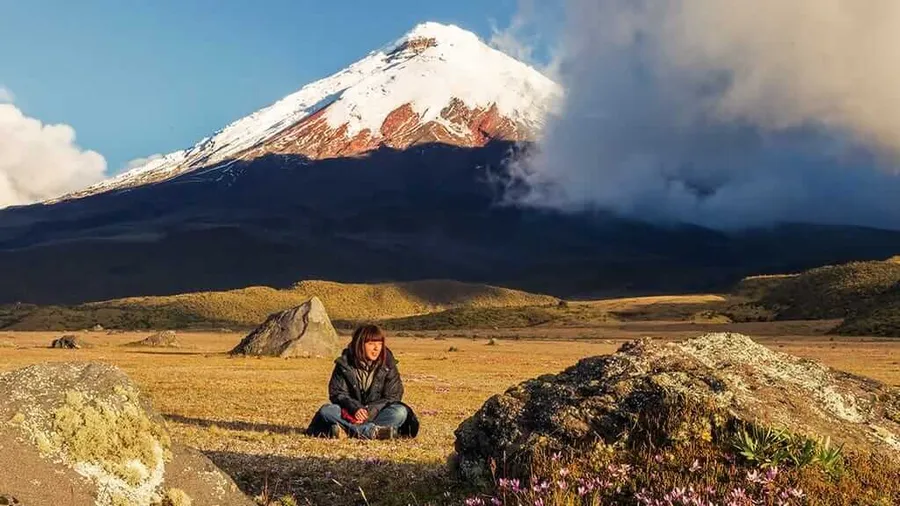 Páramo del Chuquiragua