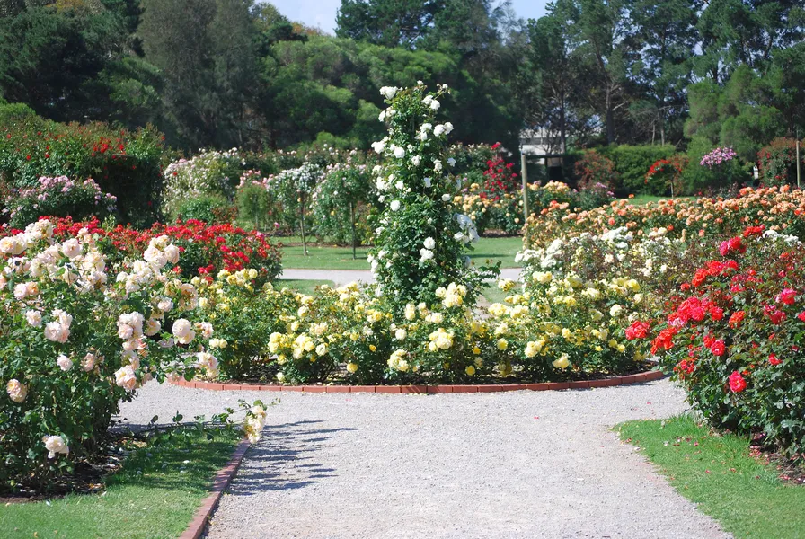 Põltsamaa Rose Garden