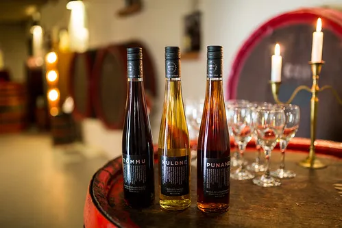 Põltsamaa Wine Cellar