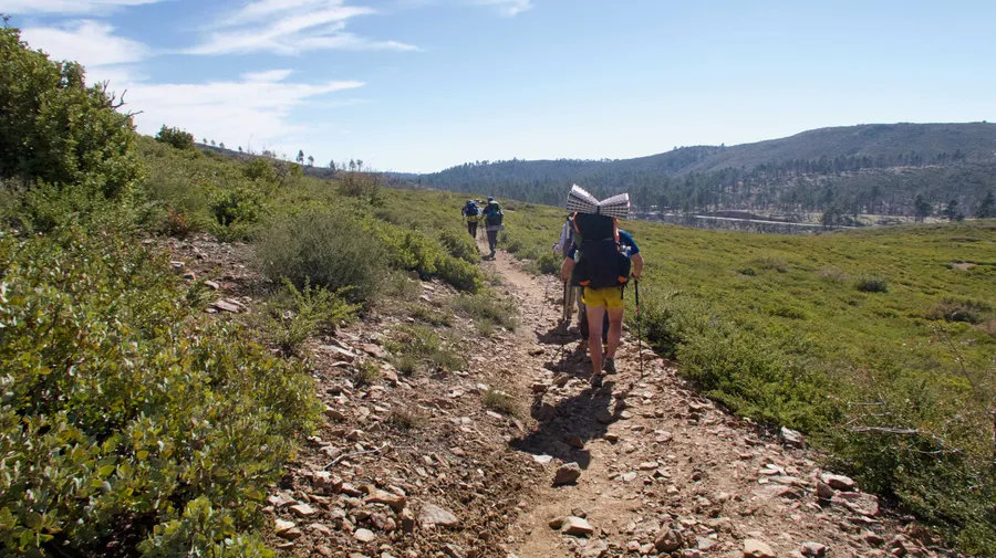 Pacific Crest Trail (Mount Laguna Section)