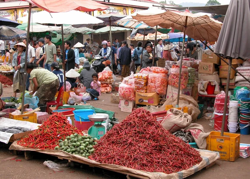 Pakse Central Market