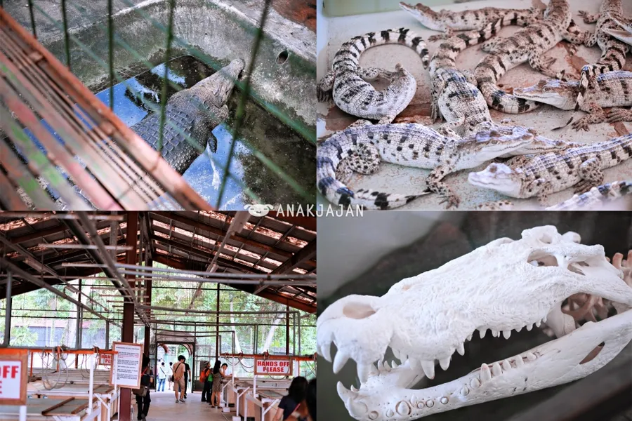 Palawan Wildlife Rescue and Conservation Center