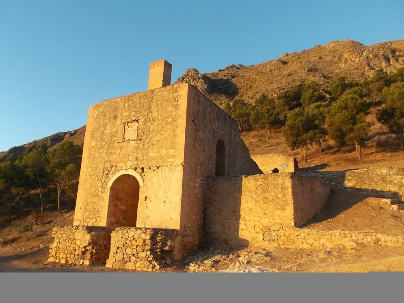 Palmeral of Orihuela