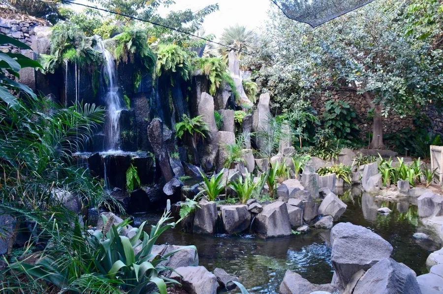 Palmetum of Santa Cruz de Tenerife