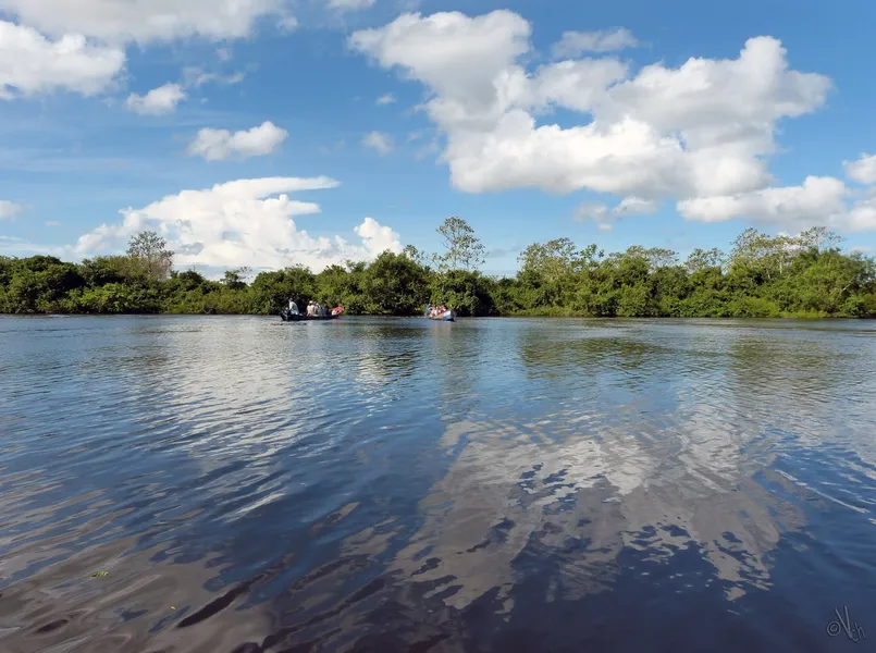 Pampas del Yacuma