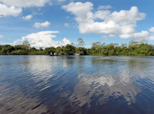 Pampas del Yacuma