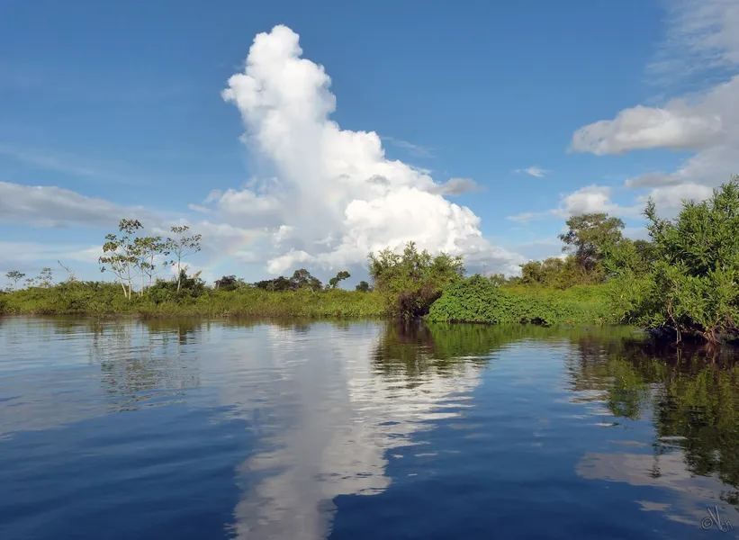 Pampas del Yacuma