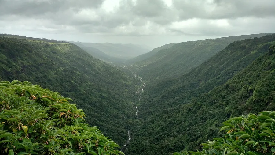 Panchalimedu