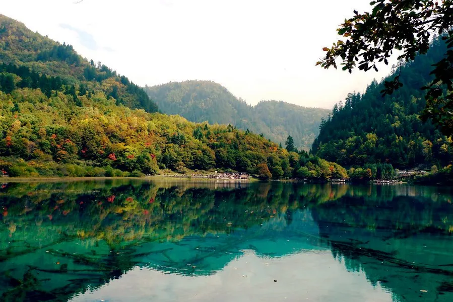 Panda Lake
