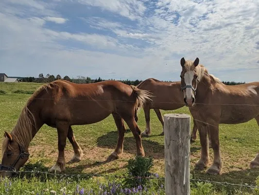 Panmure Island Provincial Park