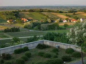 Pannonhalma Abbey Winery