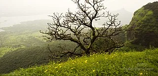Panorama Point