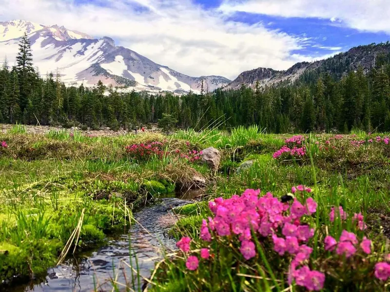 Panther Meadows