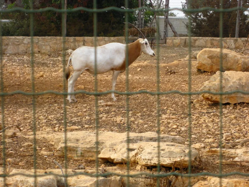 Paphos Zoo