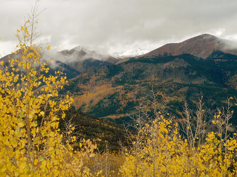 Paradise Divide
