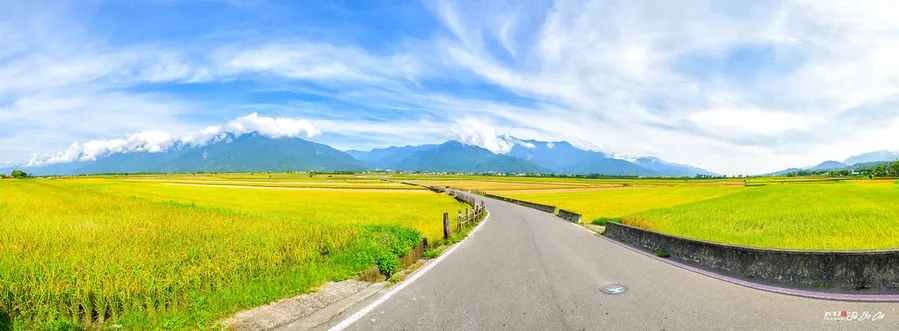 Paradise Road (天堂路)