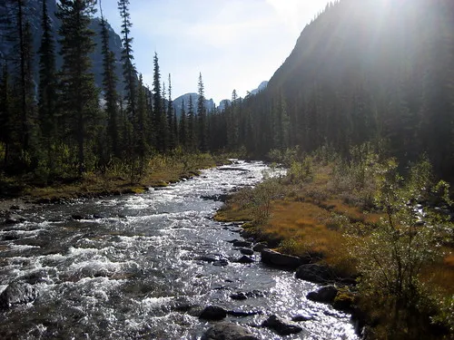 Paradise Valley
