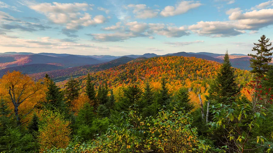 Parc National du Mont-Tremblant