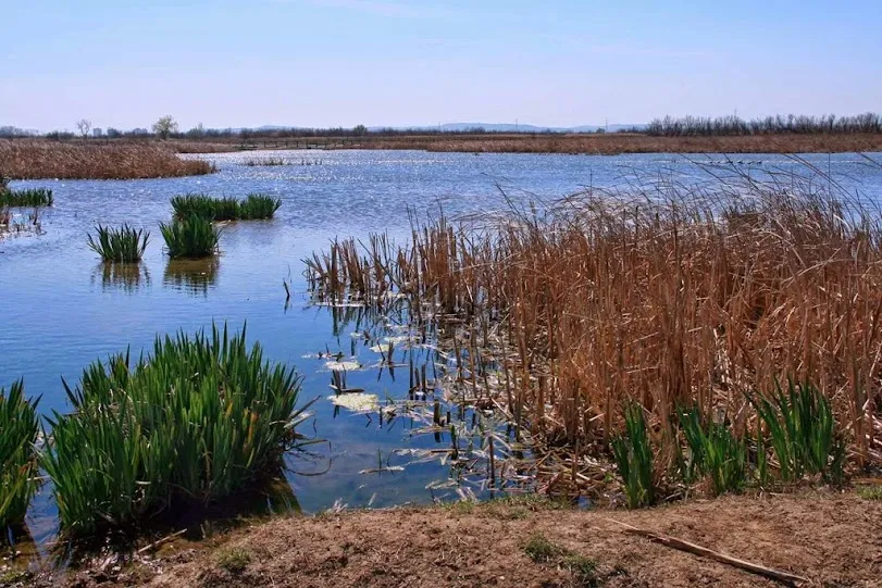 Parc Natural dels Aiguamolls de l'Empordà