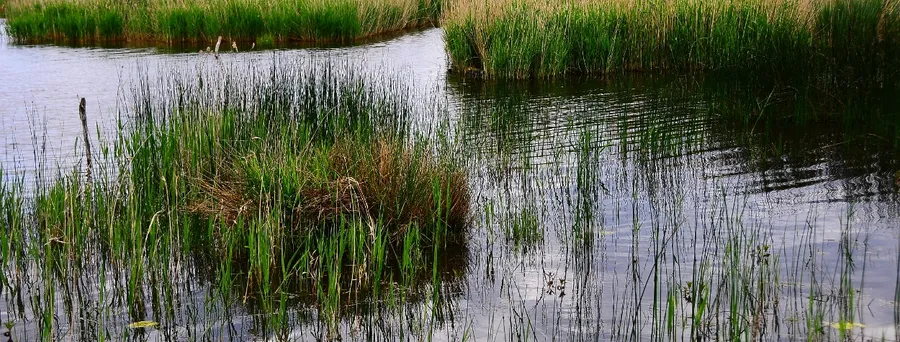 Parc Naturel Régional de la Brenne
