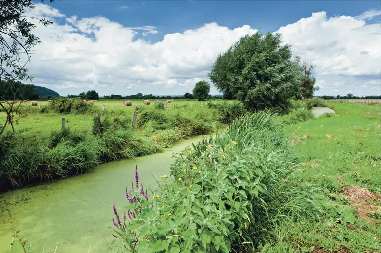 Parc Naturel Régional des Boucles de la Seine Normande