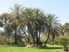 Parc Olbius Riquier