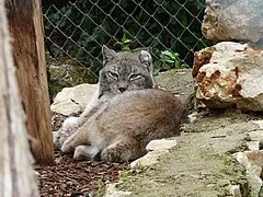 Parc Zoologique Henri de Lunaret
