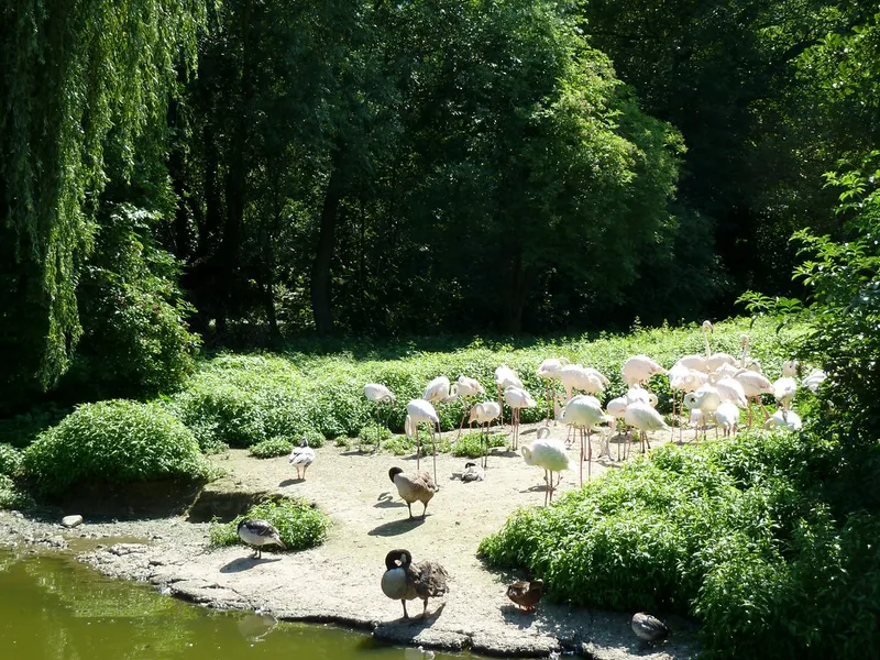 Parc Zoologique et Botanique de Mulhouse